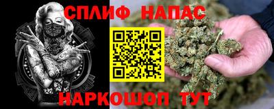 дмт Бузулук